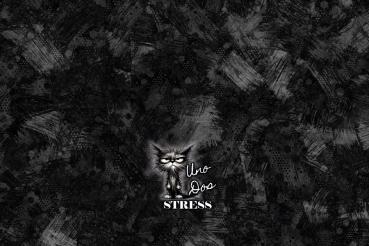 Uno Duo Stress - Mützen Panel - Jersey